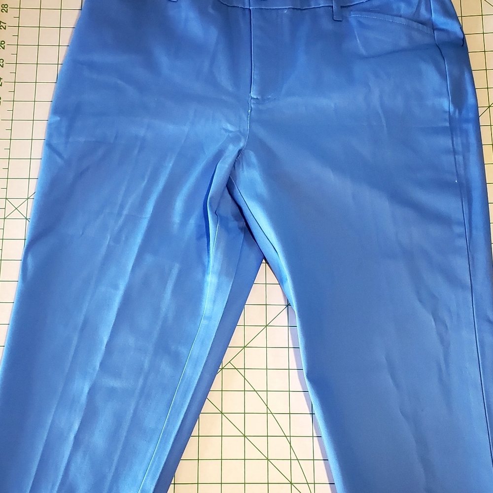 NWOT St John's Capri in Zenith Blue a hard to find color